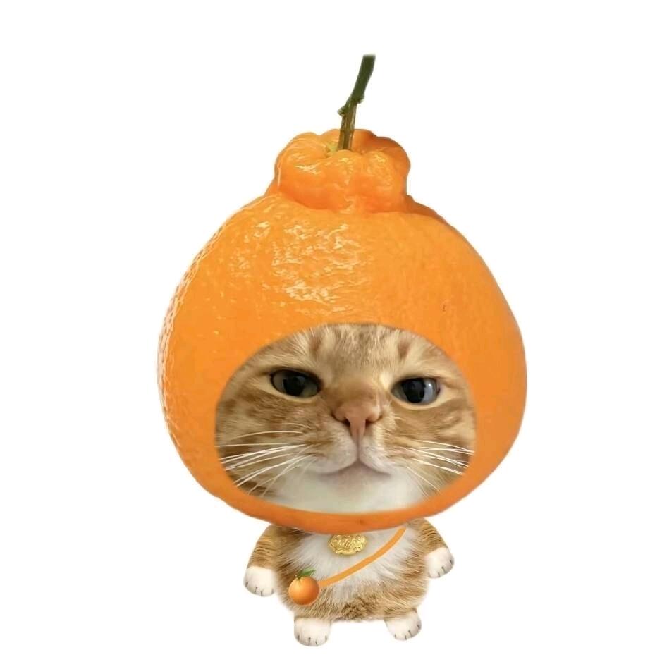 無悔