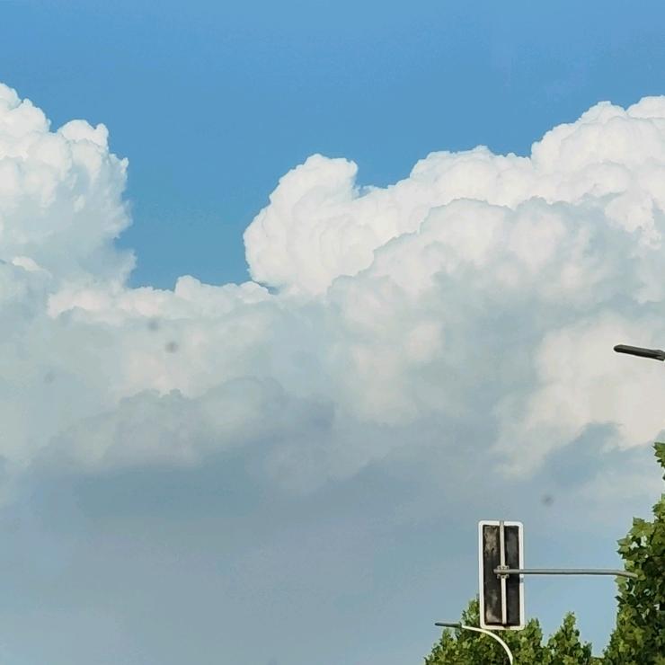 渝皖🐇🐇🐇🐇🐇🐇