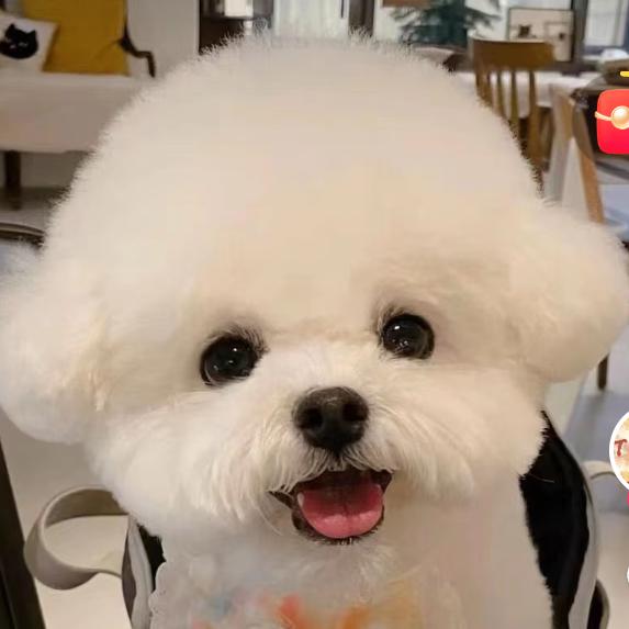 🍁初见即是舔狗