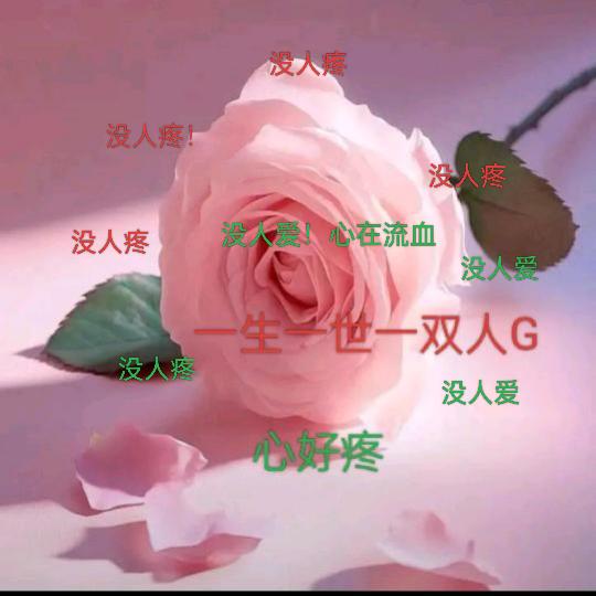 战狼
