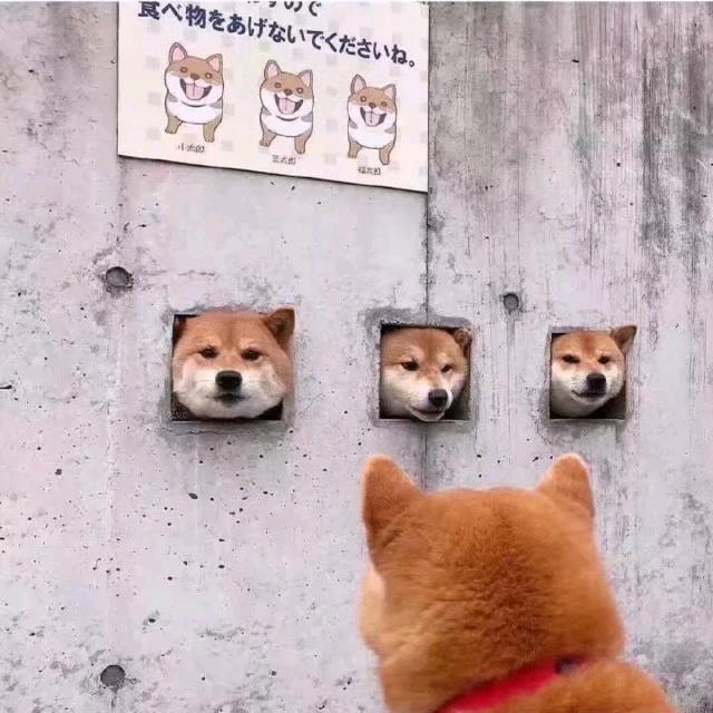 小薛🏍