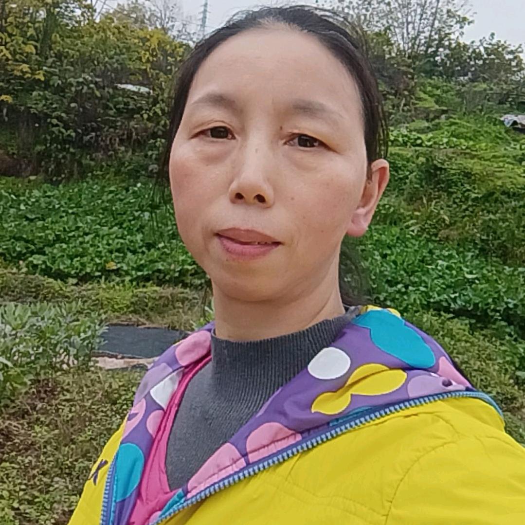 思英姐