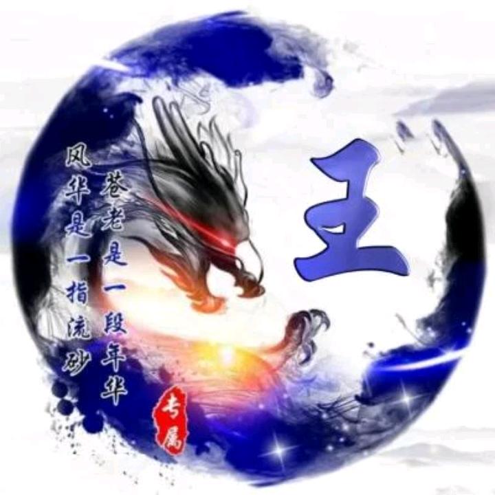 属龙老王