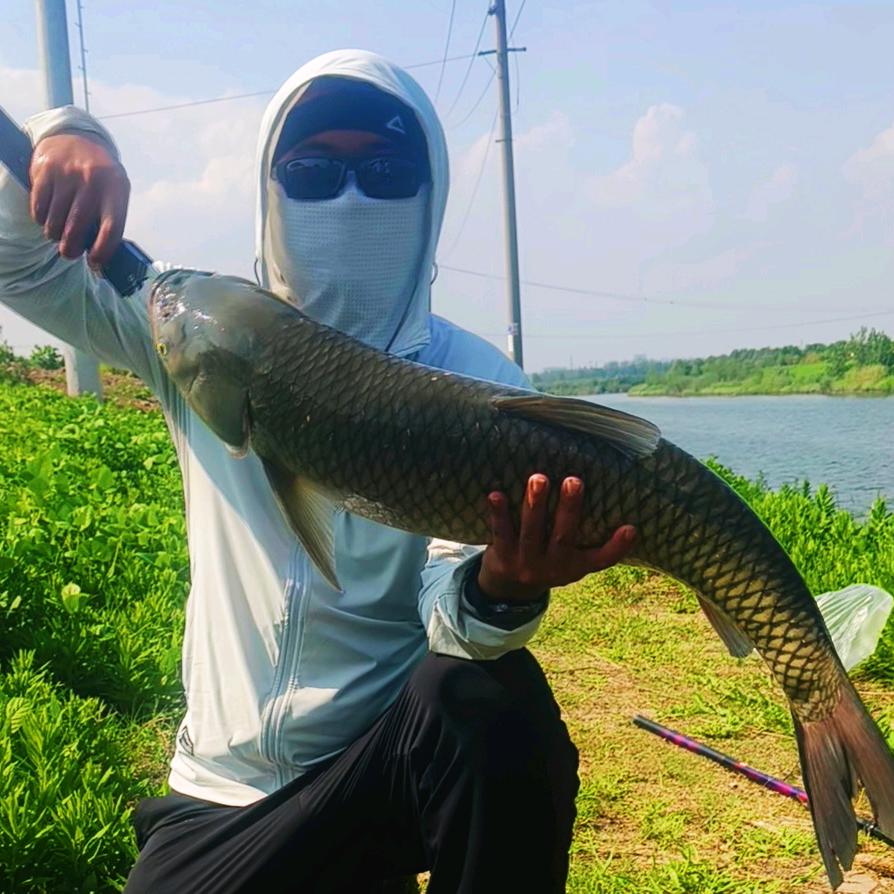邢江河钓鱼  🐟