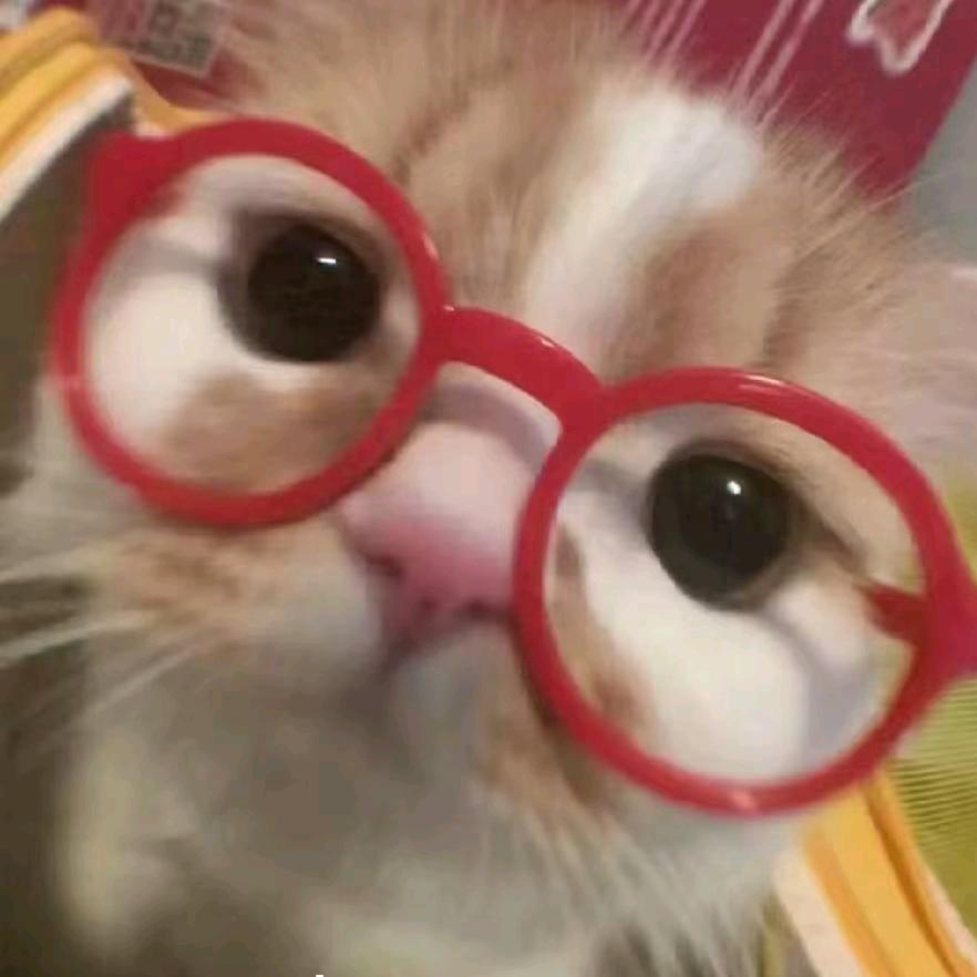 糖糖