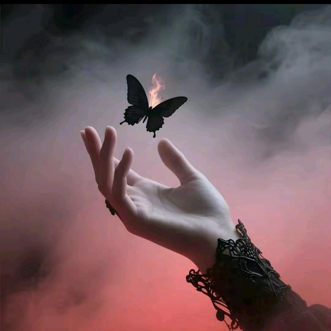 獨家記憶🦋ℒᎭℯ