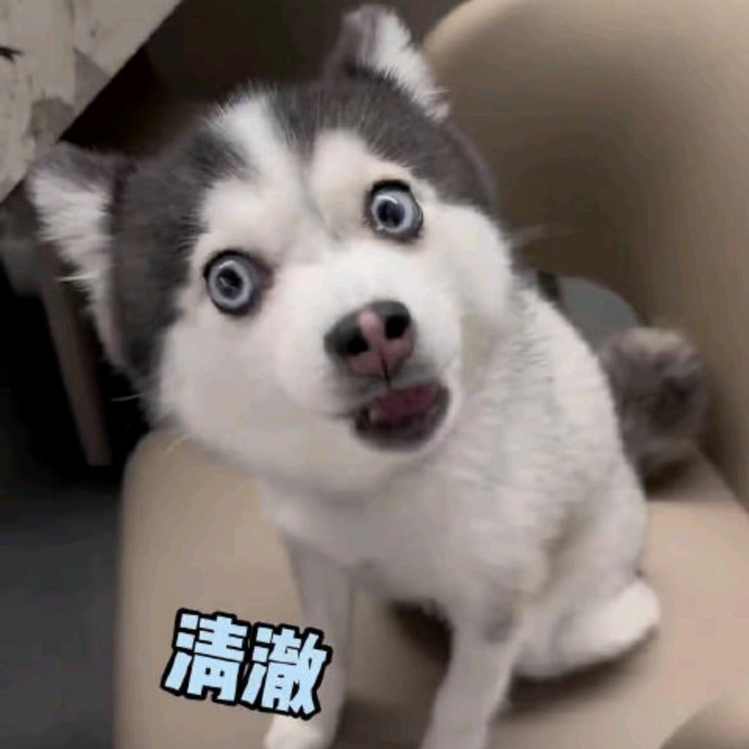 梦乡行者
