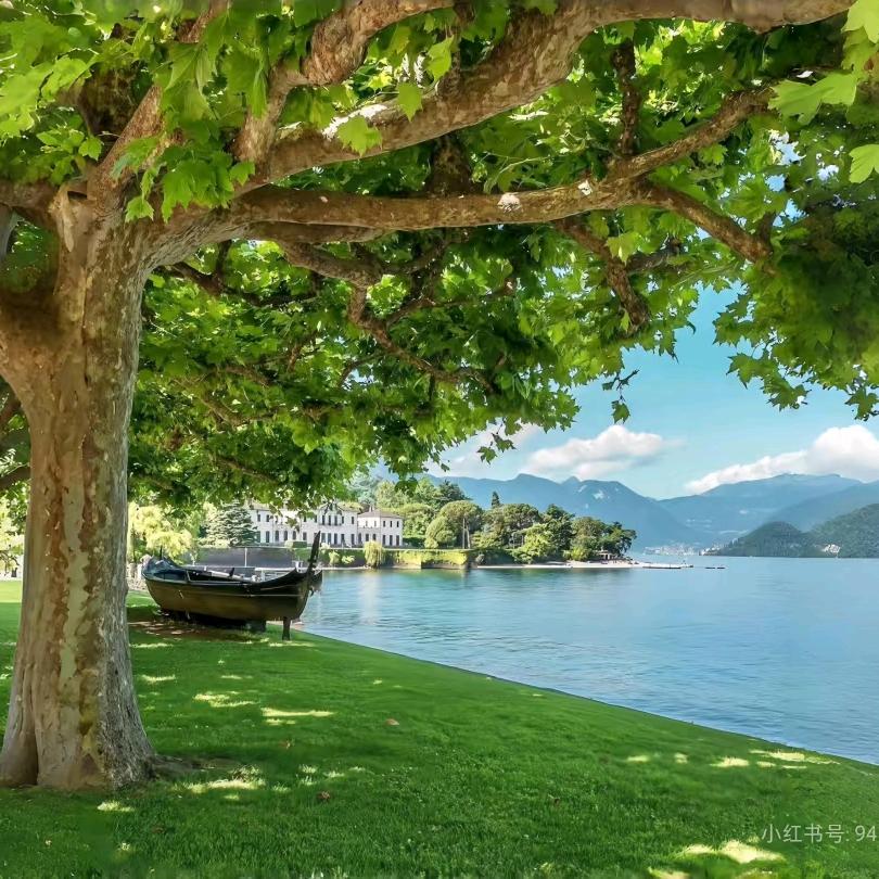 家人健康平安+搞钱