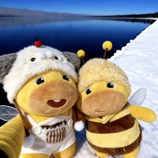 超级无敌小霸王