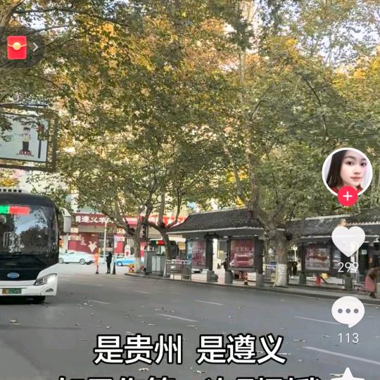 苍狼