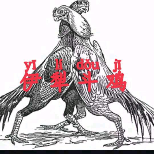 伊哥鸡王 （ 罗伊金）