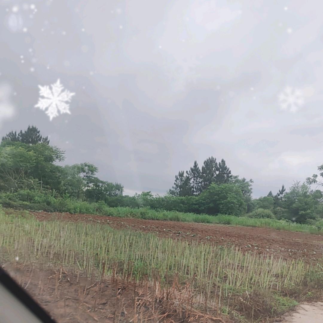 农村大舞台