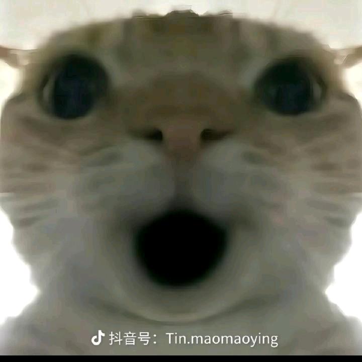 他人是我人