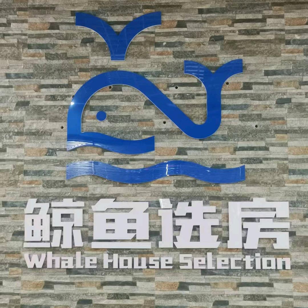 临淄崔捷选房