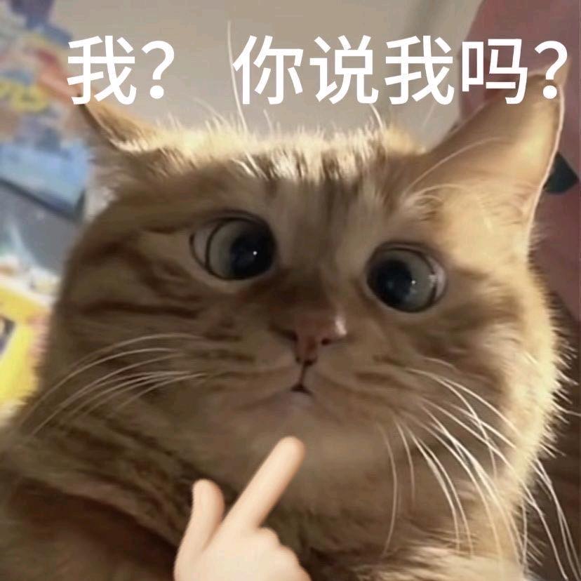 念如梦