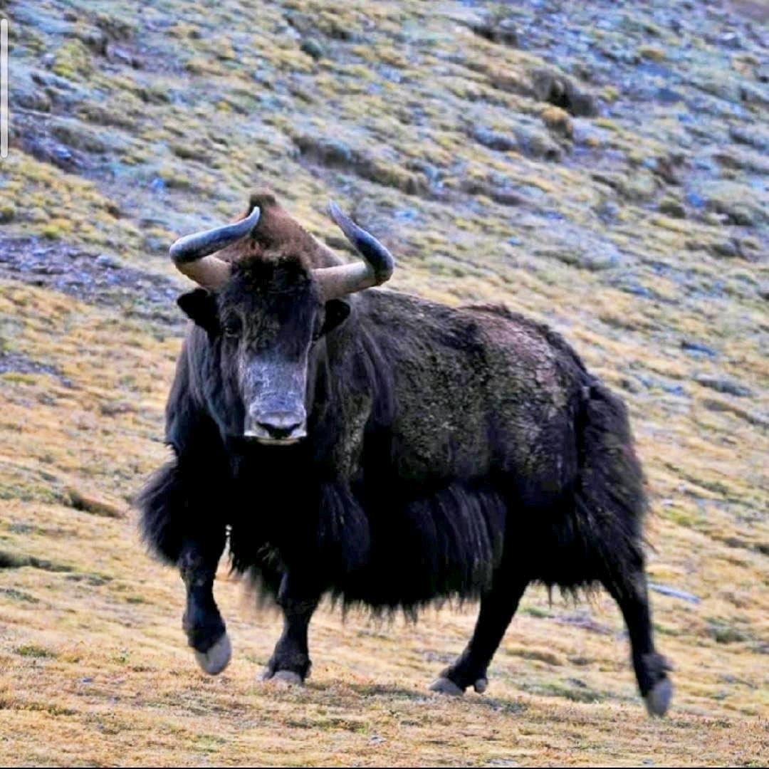 用镜头记录生活