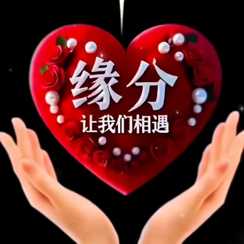 《相遇即是缘》