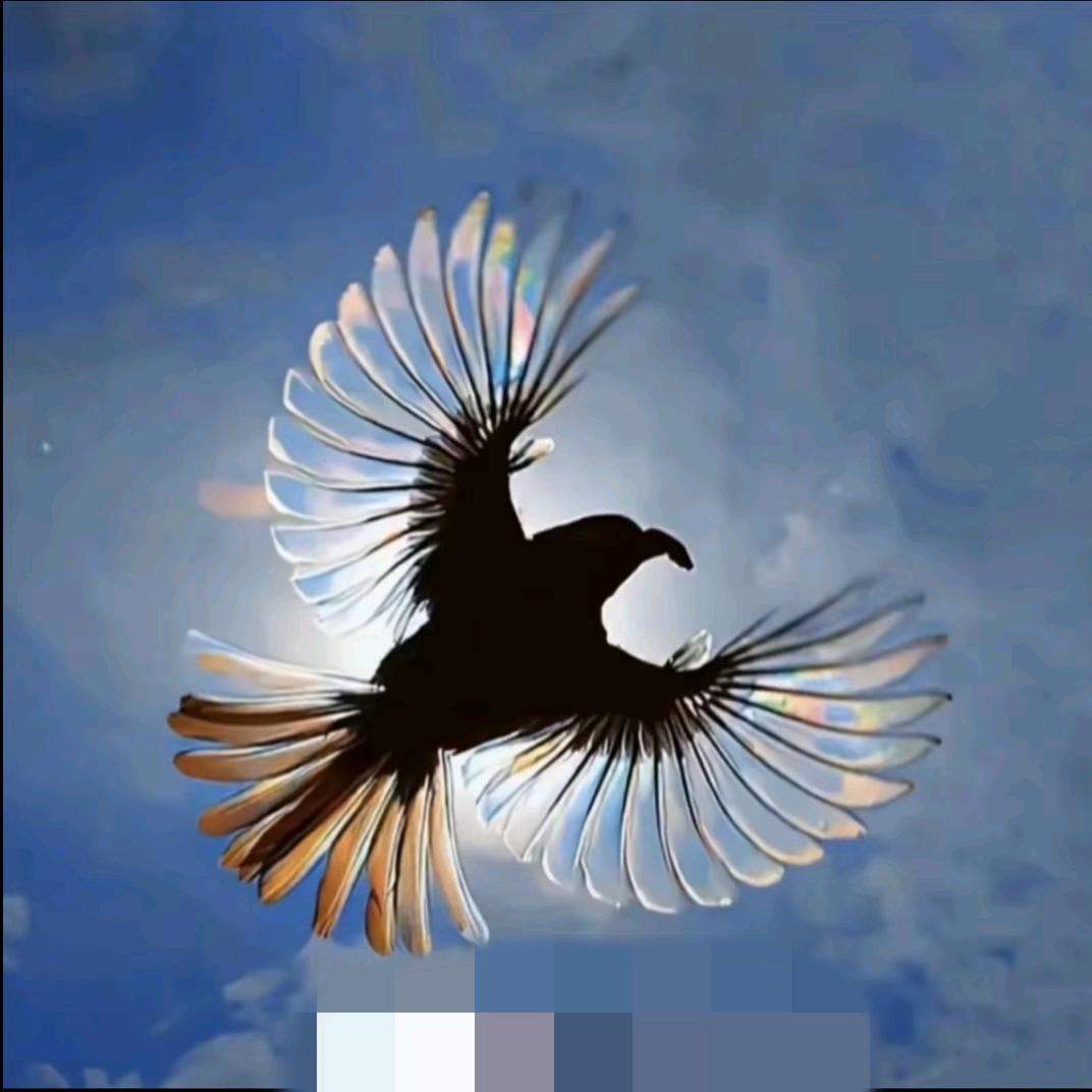 曲江.两元煎饼.接到办