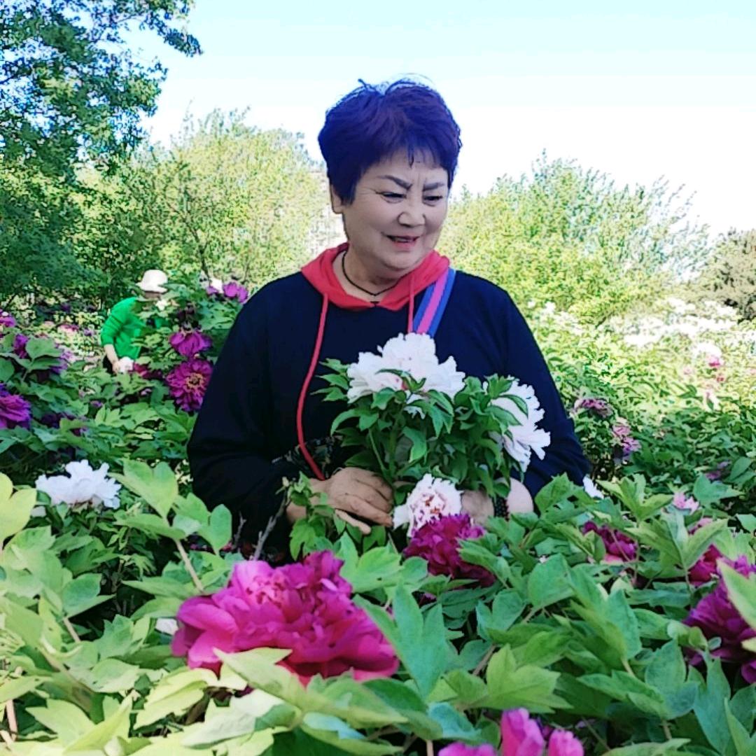 幸福梅花