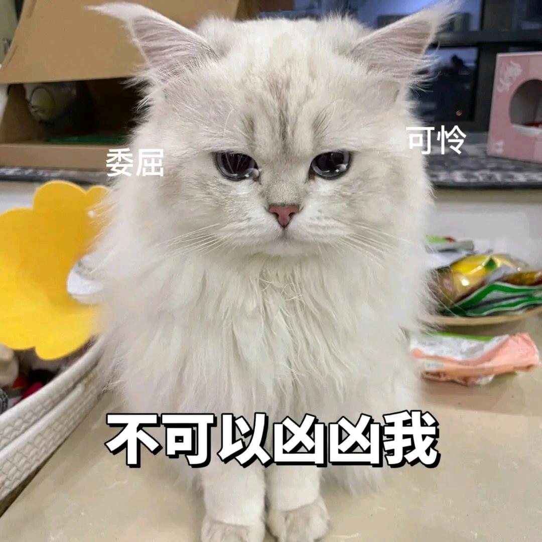 妍小妍小店