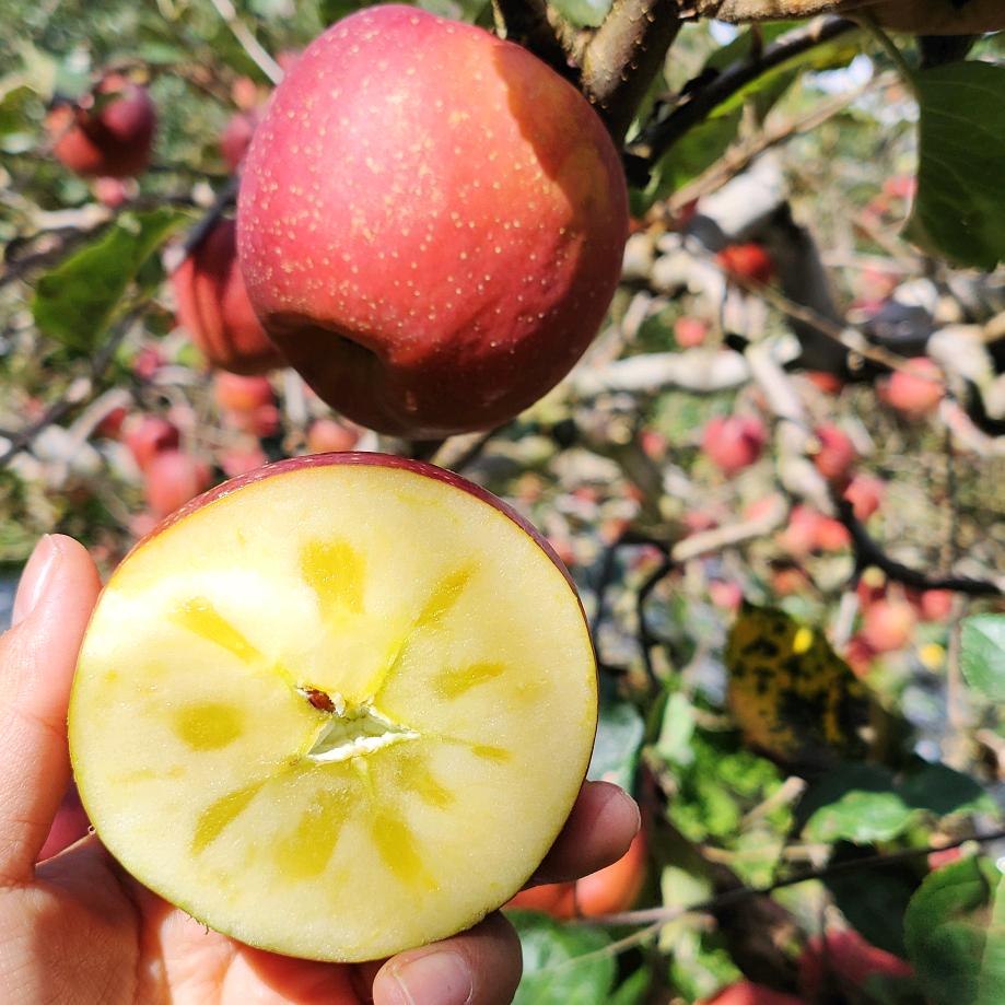 会泽慧芸优品小铺