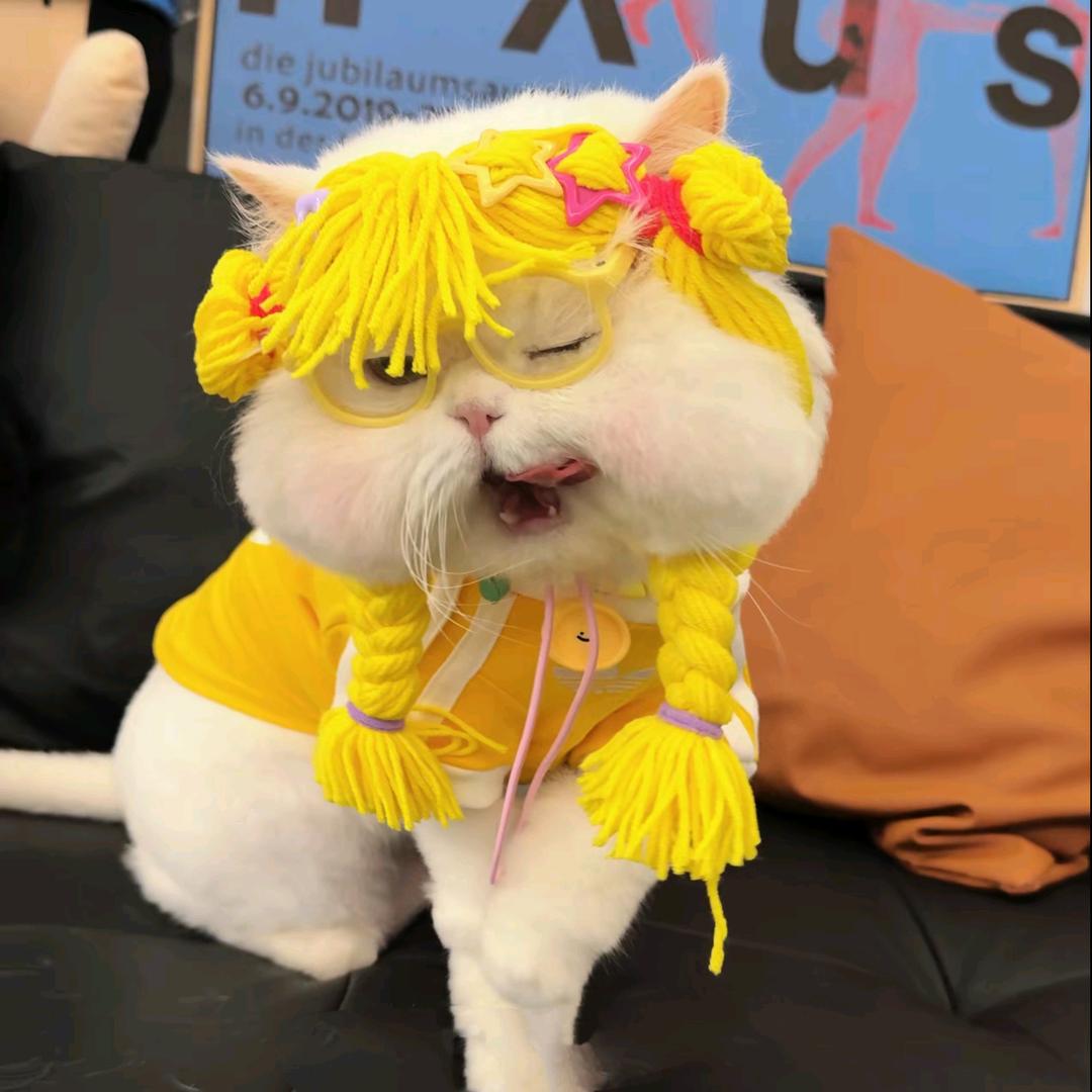 啦啦啦。