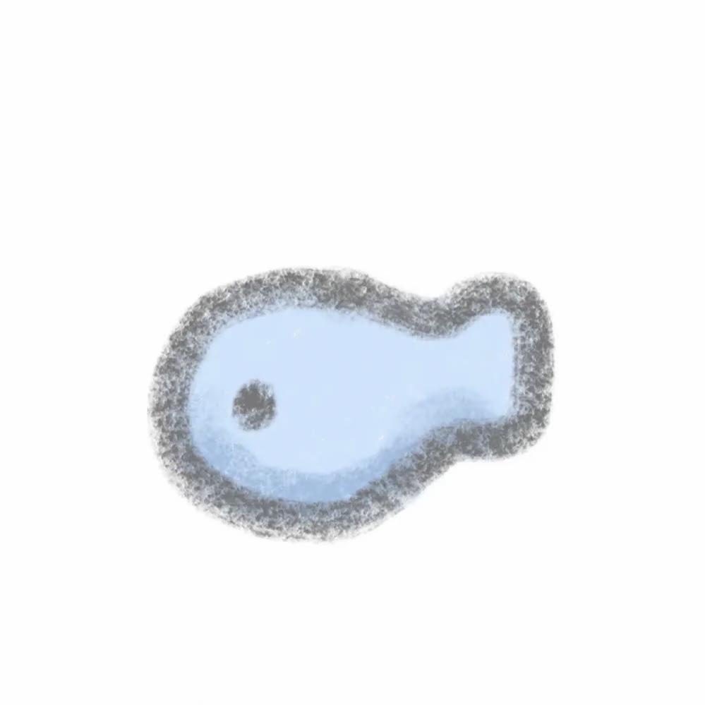 咸鱼鹹魚