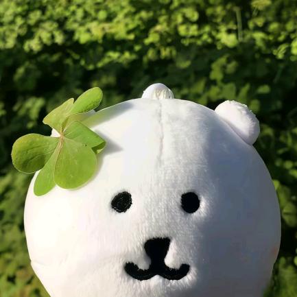 hi