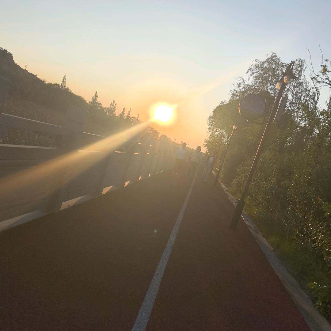 太阳花💫吖