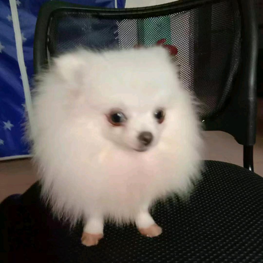 小邓，07
