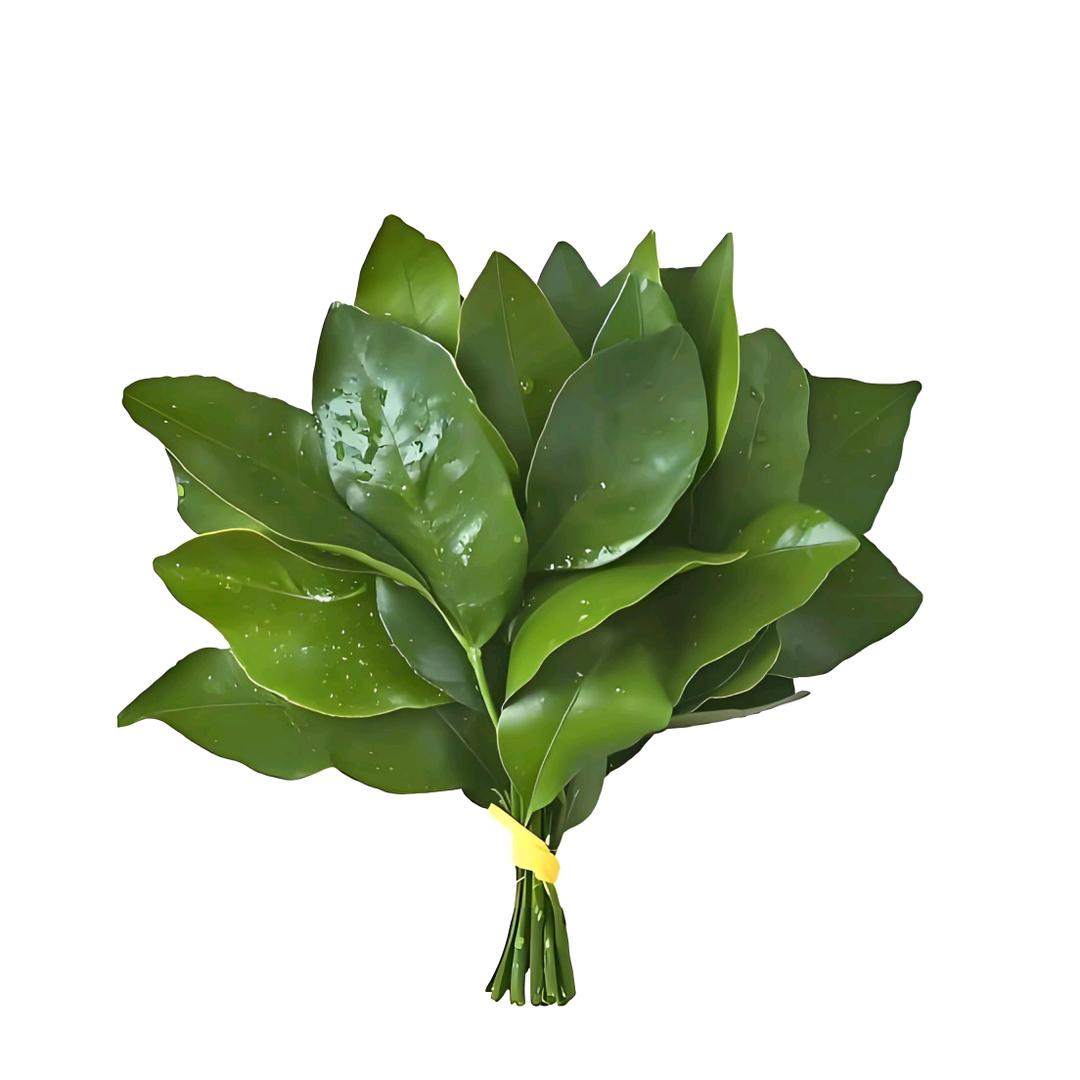 Risveglio