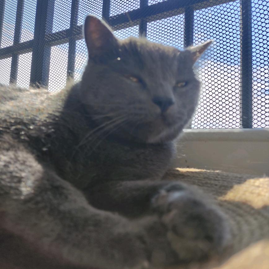 豆皮不是豆皮🐷