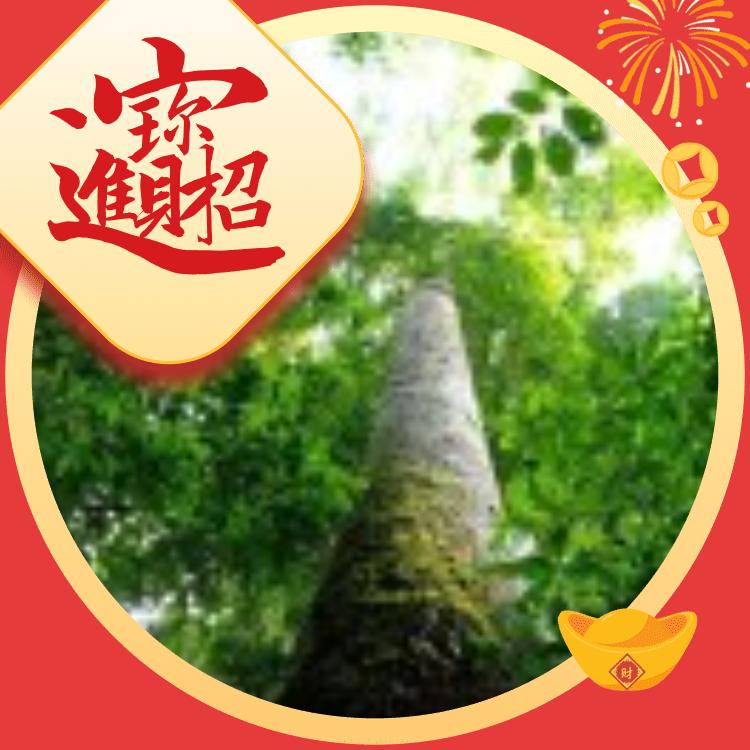 遇见奇门