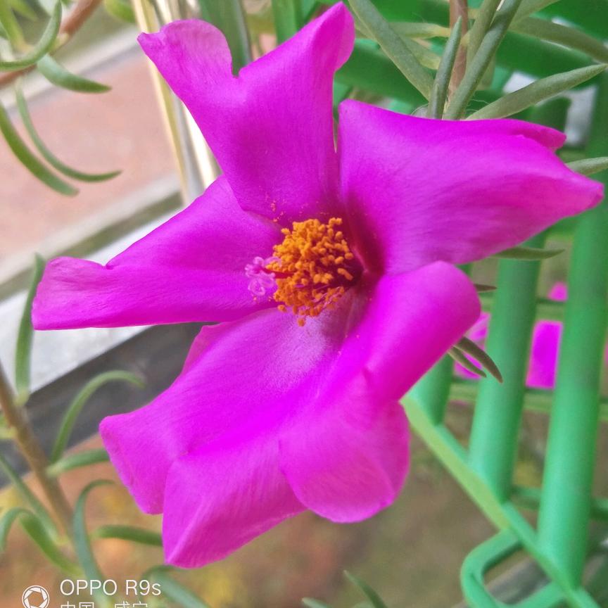 好好的