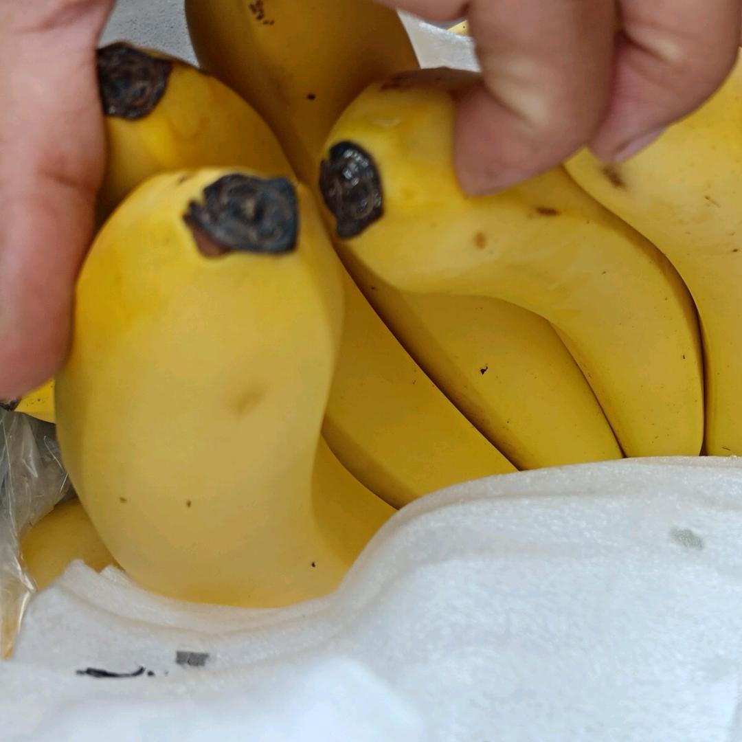 莱阳盛隆后街香蕉哥