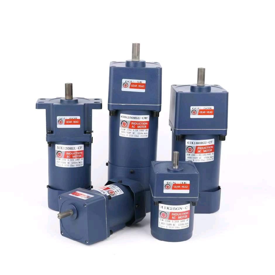 电机 减速机  Geared Motor