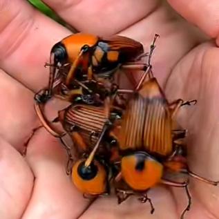 永久的回忆🚴🏻🚴🏻