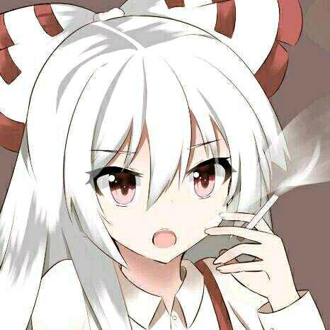 博丽神社功德箱继承人— 漂🦋