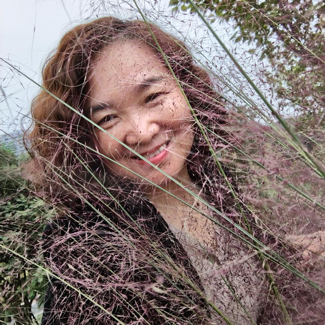 春天里的小米朵