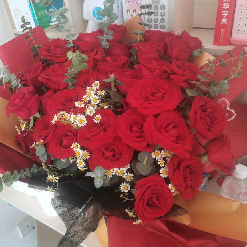 人生若只如初见