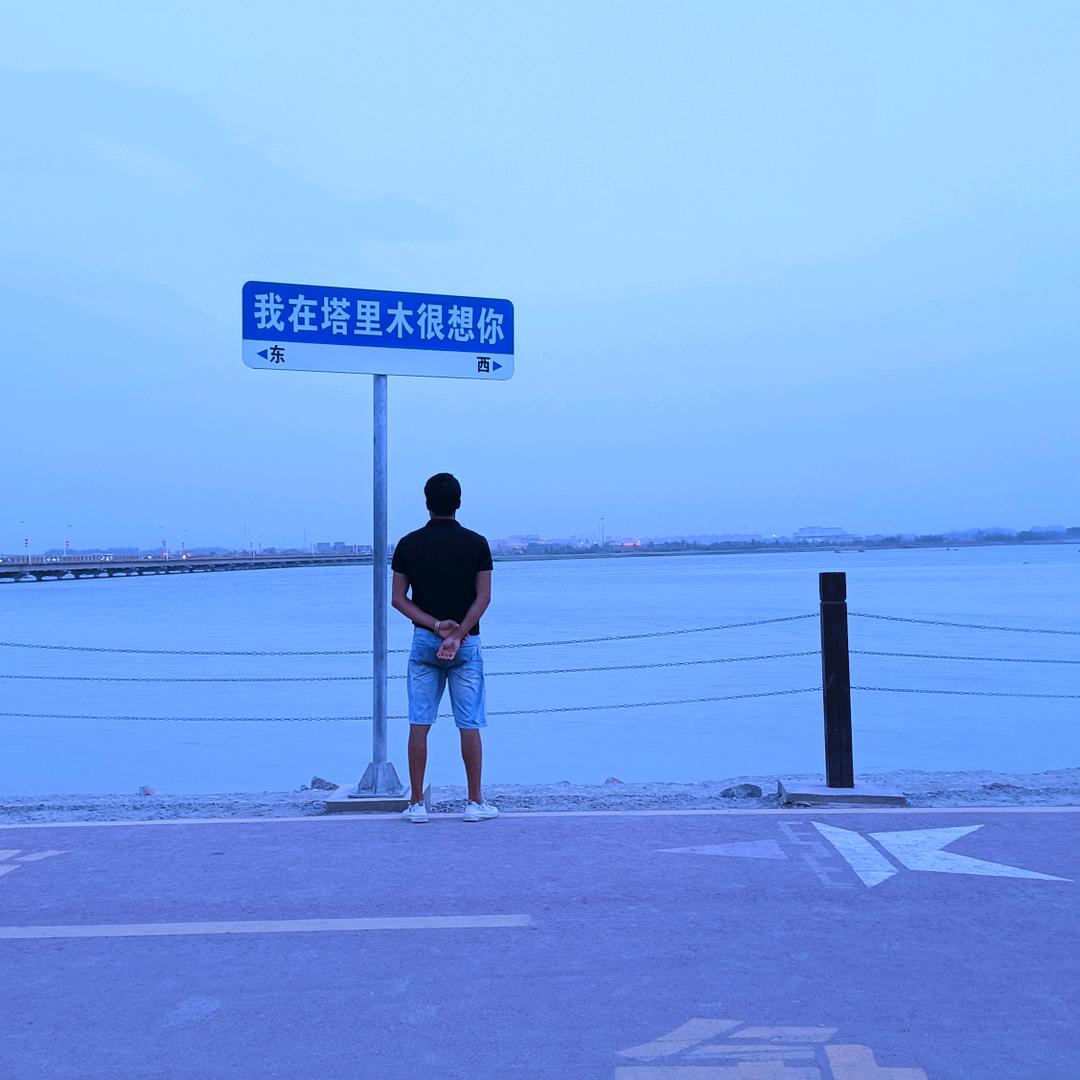 新疆翻翻 鸽子