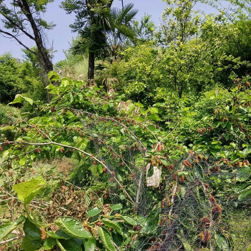 @所谓心动……🌺