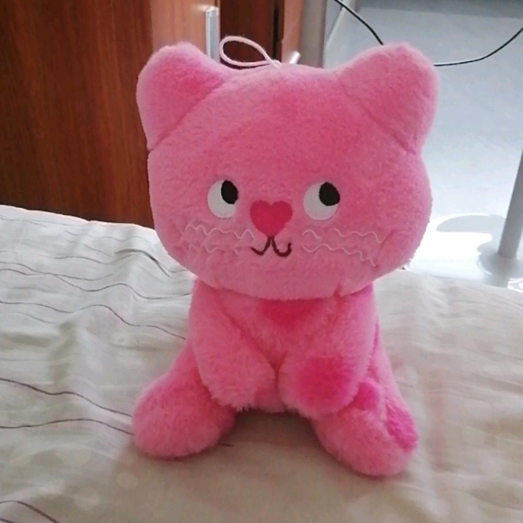 招财猫。