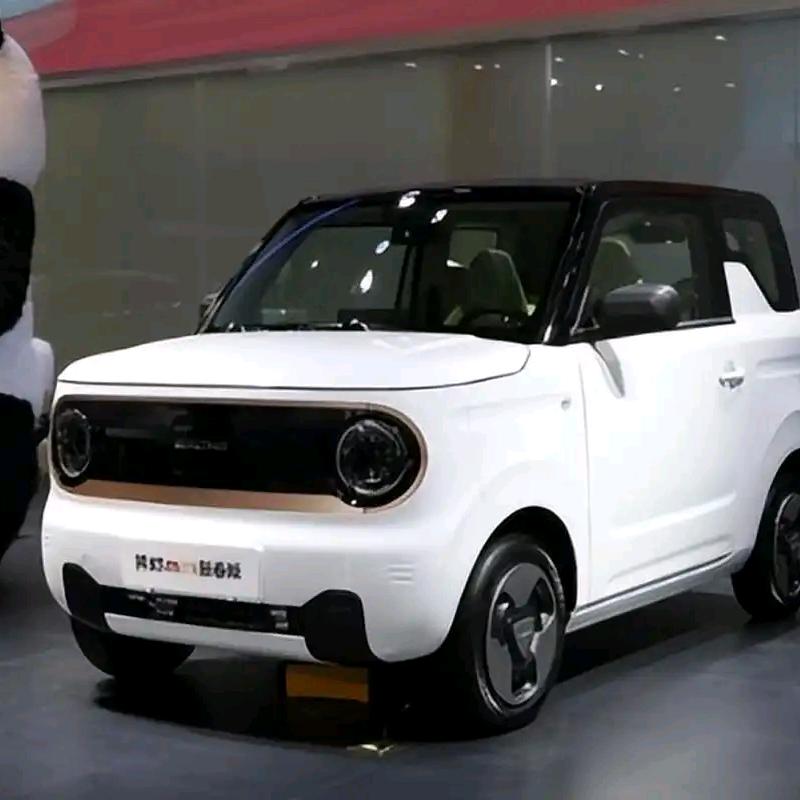 熊猫当中的耐力熊