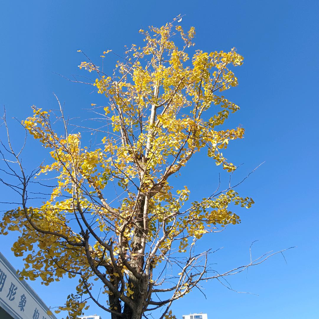 扬帆启航
