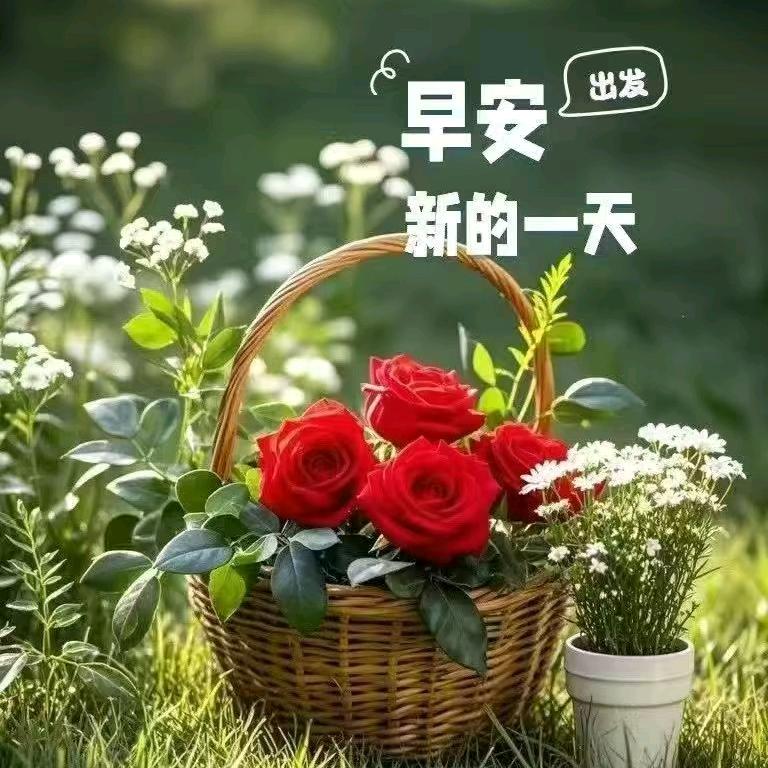 ໑ຼₒ₂₄ღ᭄傻丫头🕊꧔ꦿ᭄💞