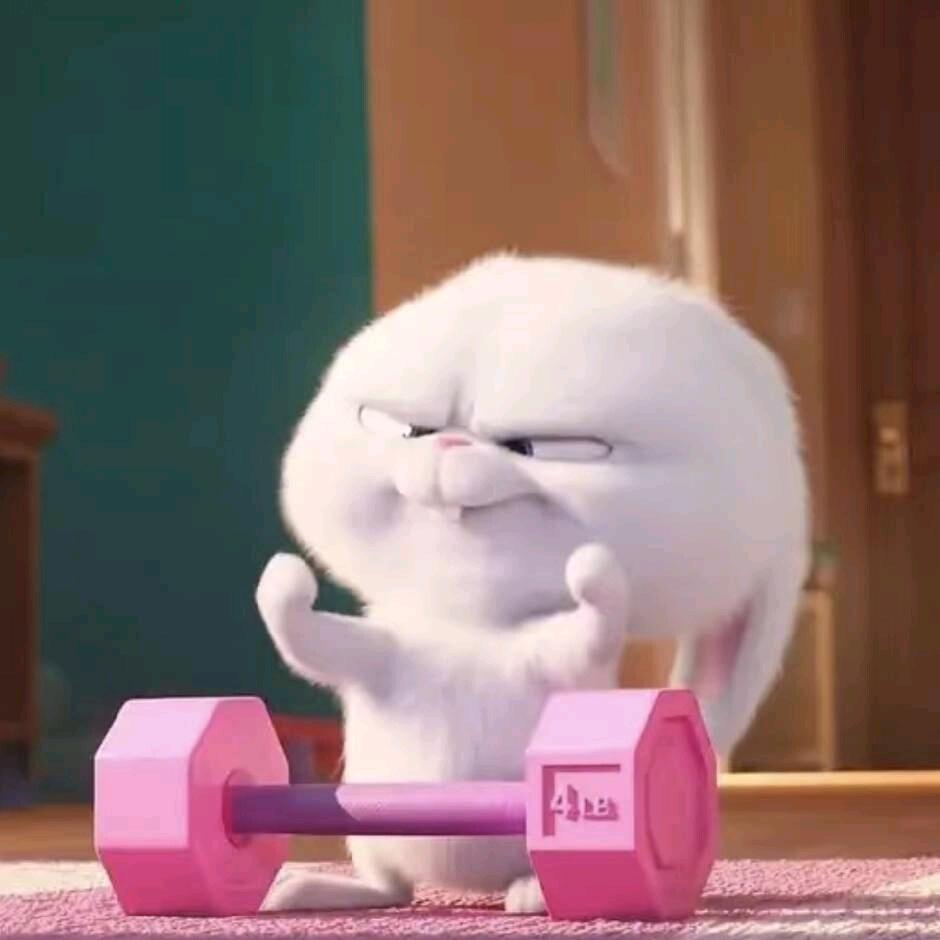 QQ～（奋斗Plus版）