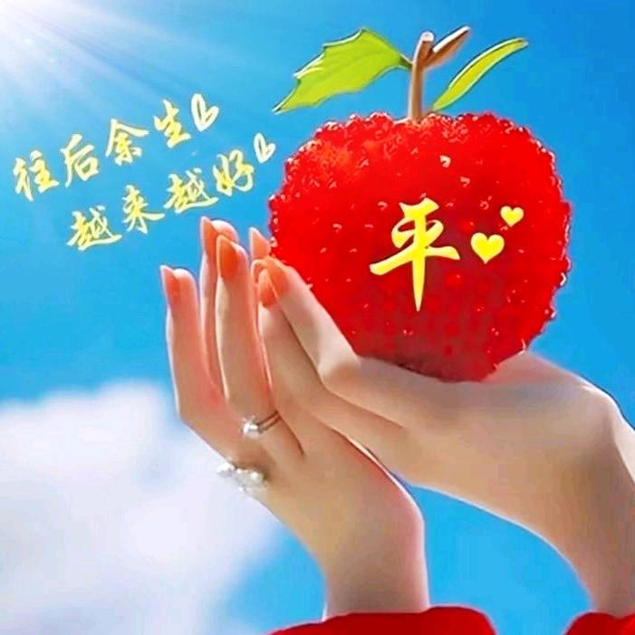 孤芳自赏