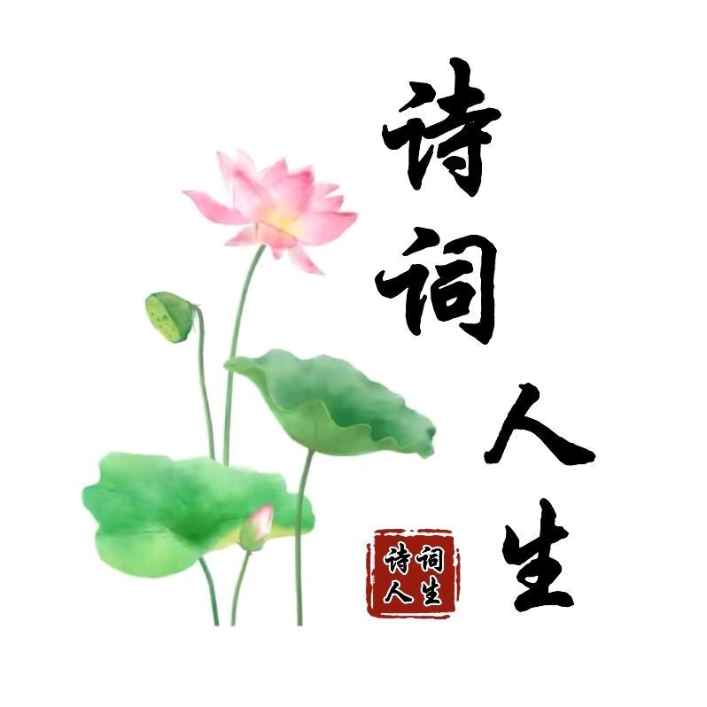 诗词人生