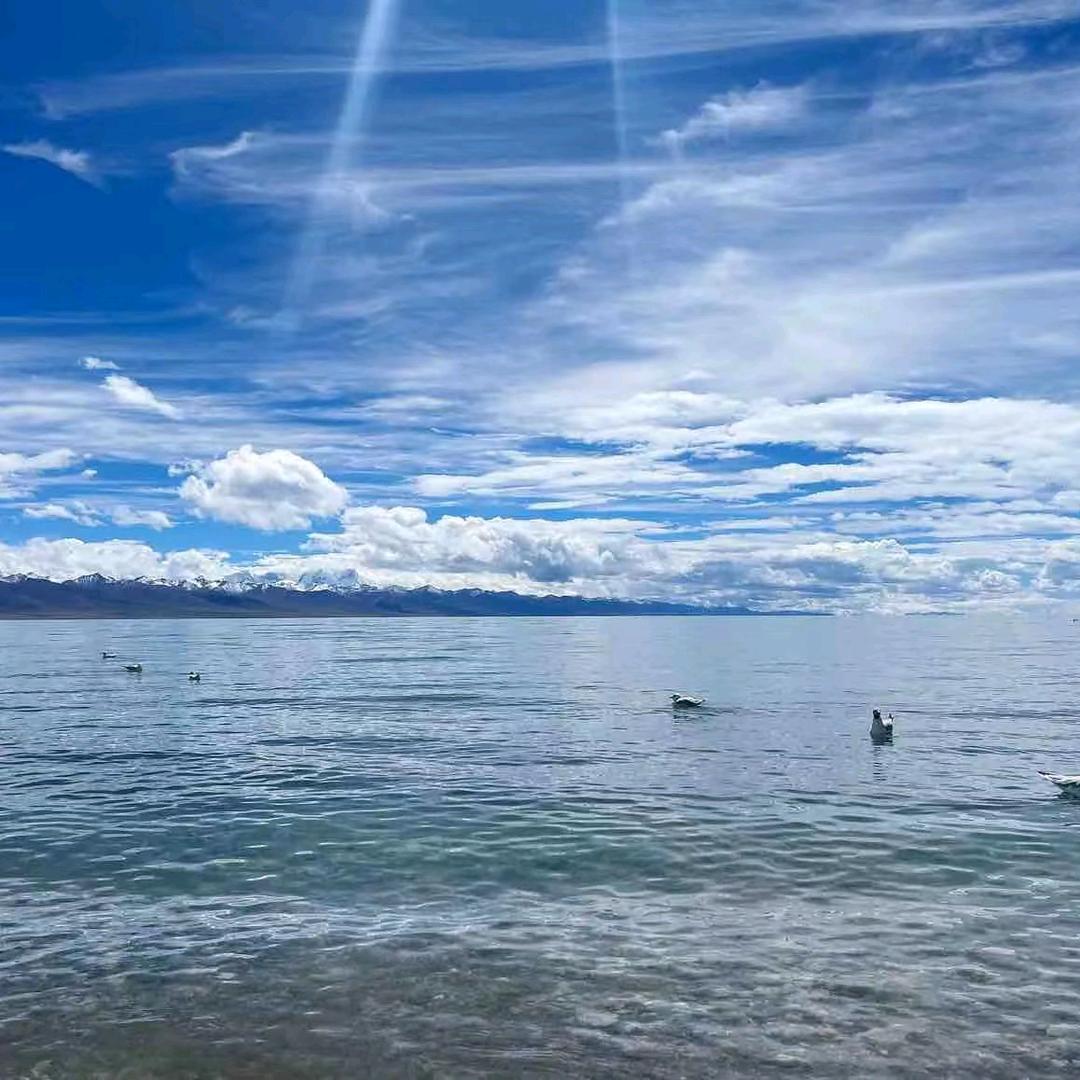 小江南（东仔）